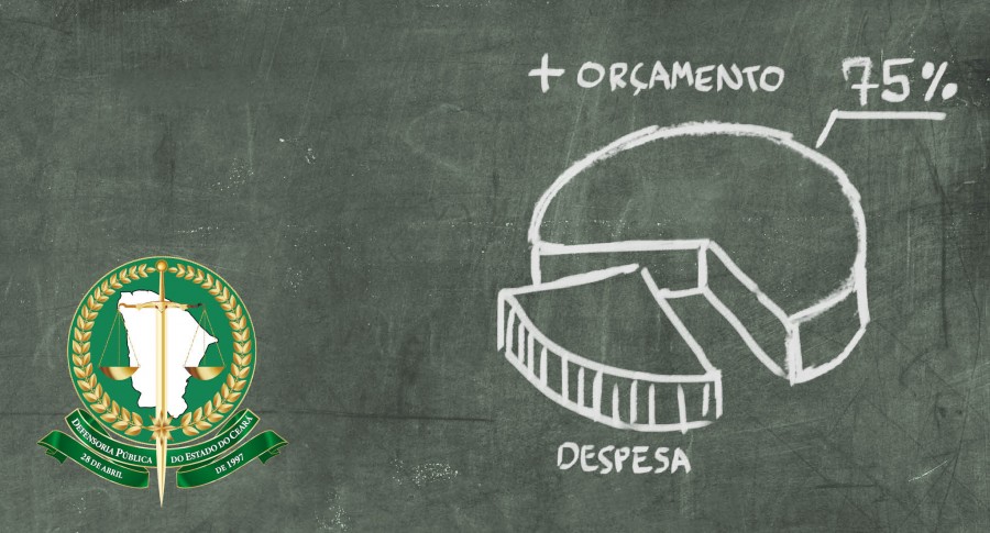 consumidor orcamento e despesa