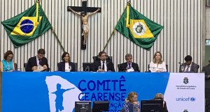 plenario