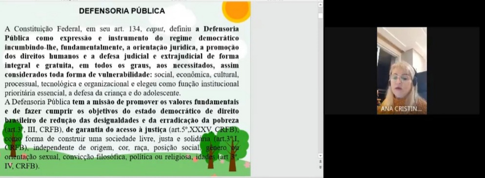 Defensoria Pública participa de live “Estrutura das Unidades de Acolhimento”, promovida pelo Clube Rotary Terra Luz