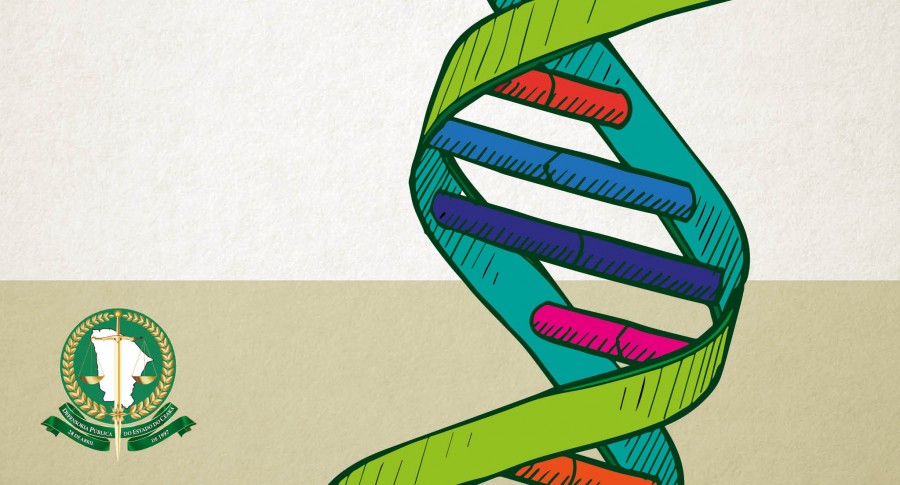 Lei permite provar paternidade com exame de DNA de parentes; Defensoria explica