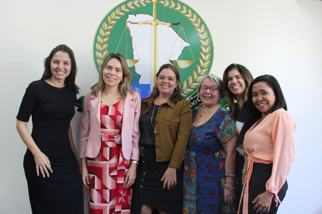 Encontro discute atuação estratégica da Defensoria Pública desde a petição inicial