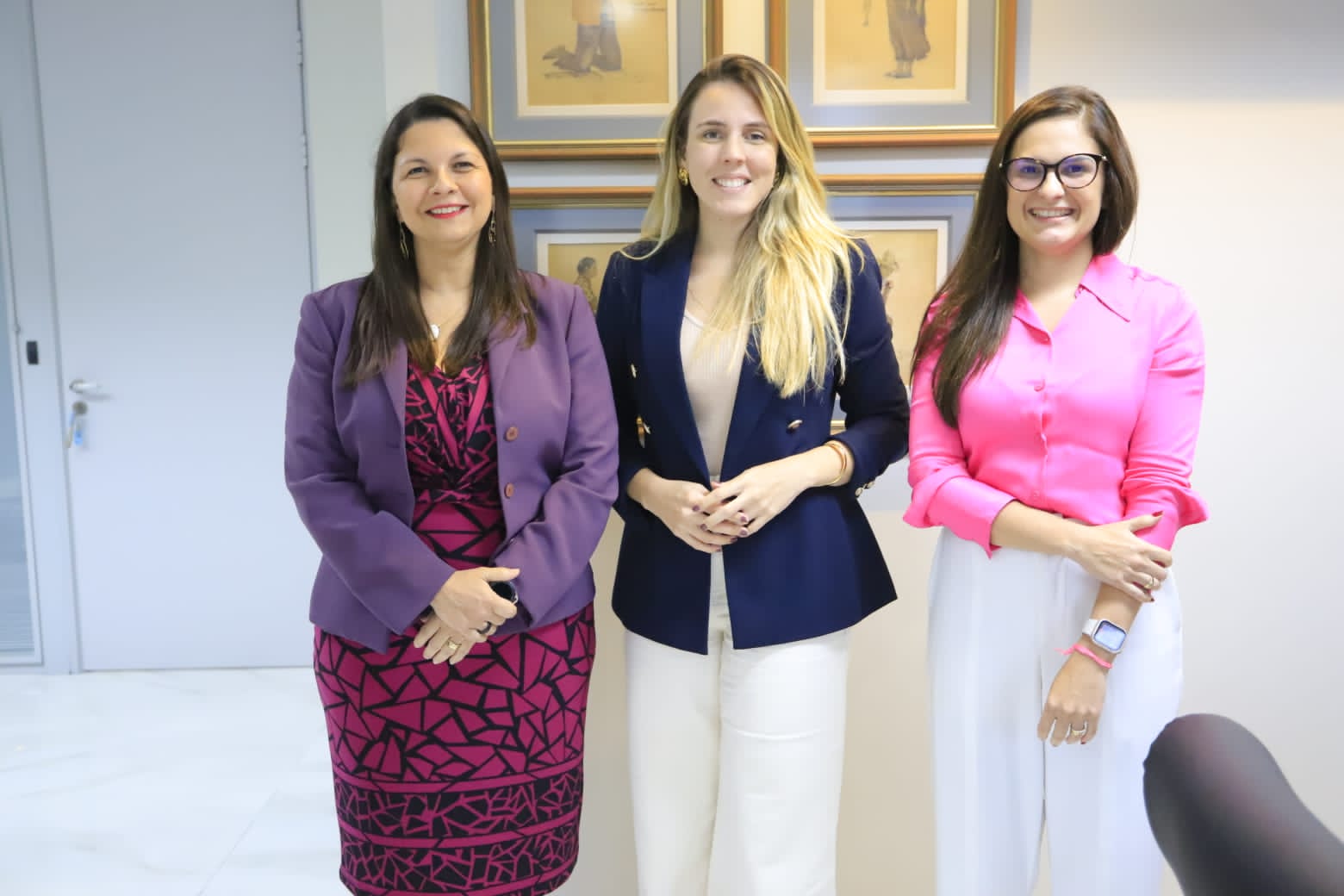 Defensoria faz visita institucional à vice-governadora Jade Romero