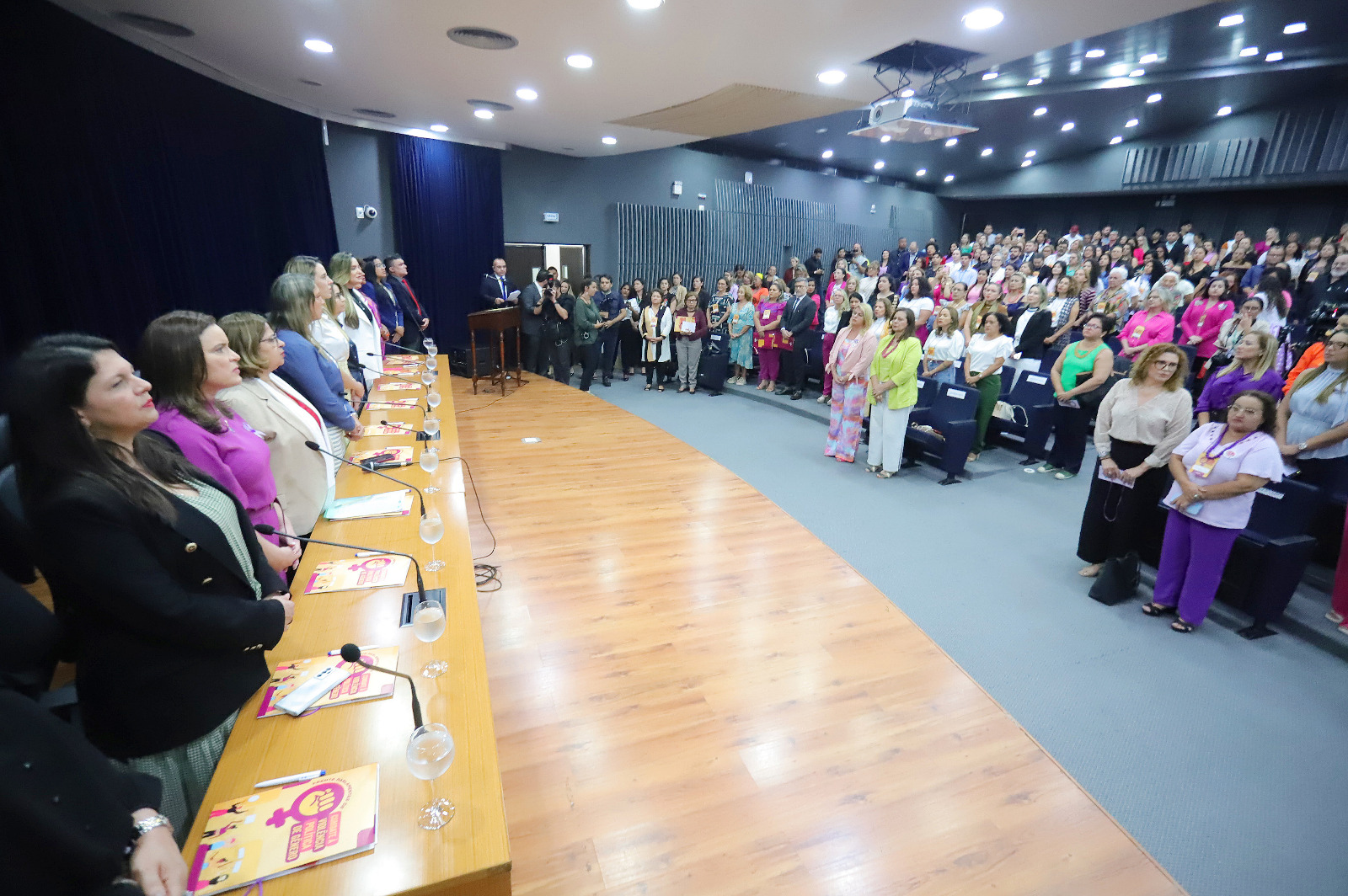 Defensoria prestigia instalação da Frente Parlamentar de Combate à Violência Política de Gênero na Assembleia Legislativa