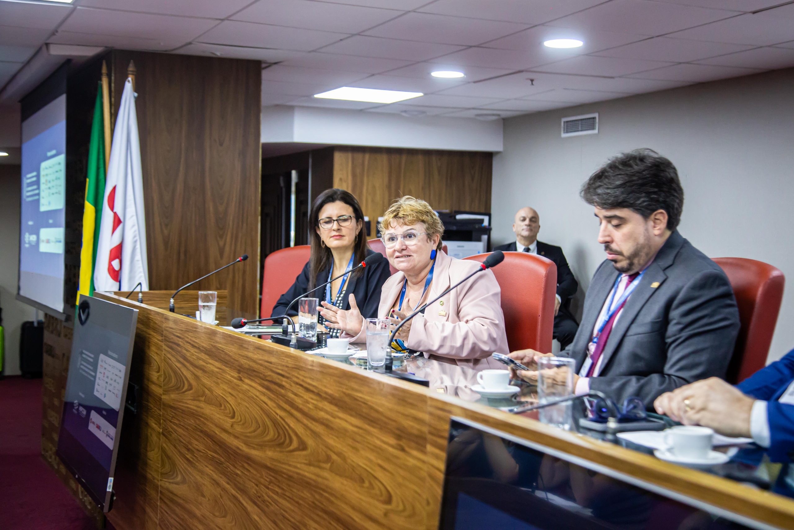 Defensora pública do Ceará é eleita presidente do Instituto Brasileiro de Política e Direito do Consumidor
