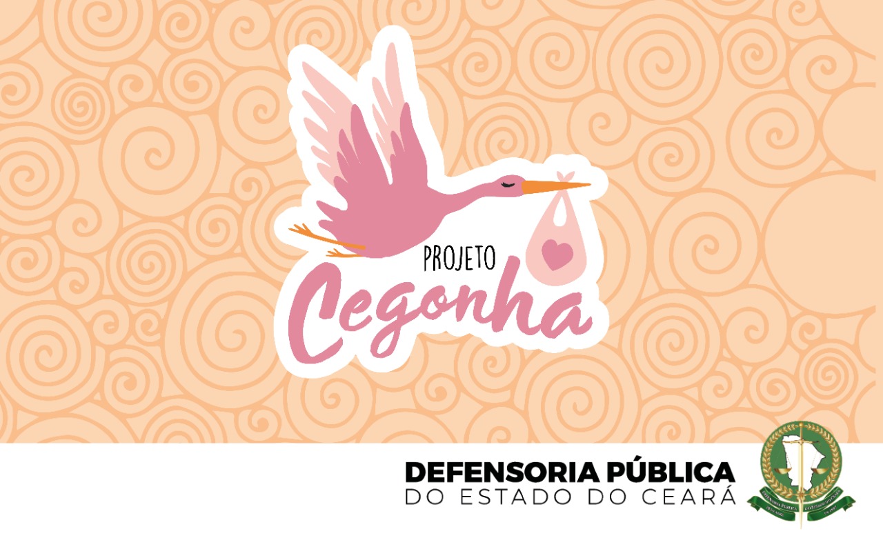 Projeto Cegonha: Acolhimento e suporte para gestantes em situação de vulnerabilidade