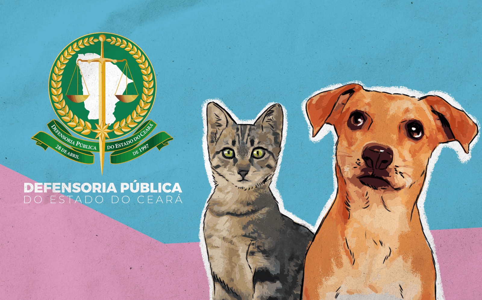 Defensoria Pública do Ceará cria Grupo de Trabalho para fortalecer a proteção e a defesa dos direitos dos animais