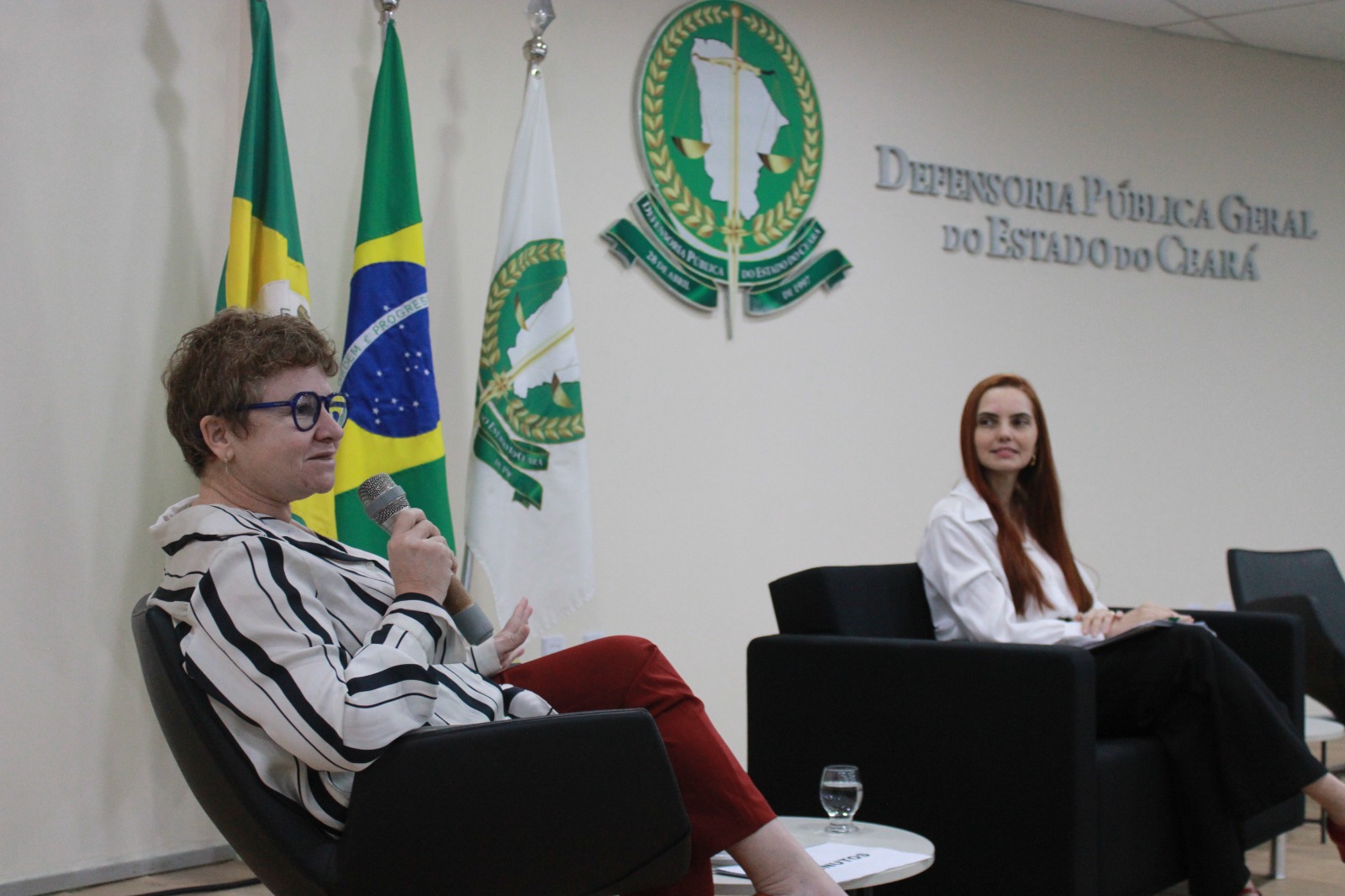 Defensoria debate teses e faz a apresentação de documentos em linguagem simples para facilitar o acesso à saúde